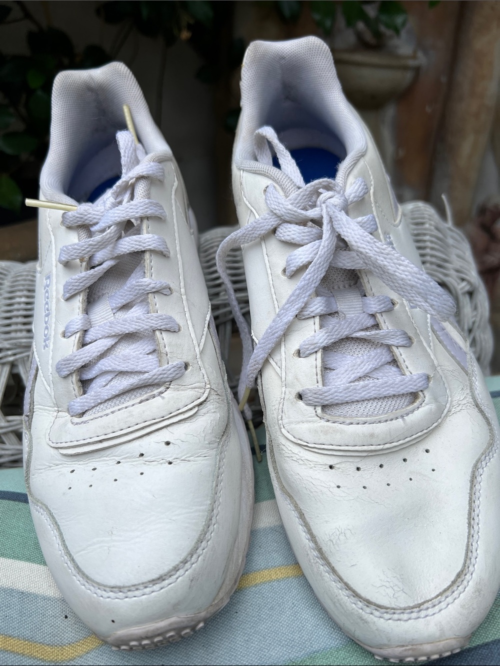 Rebook Vegan Leather Sneakers - Classic Low Top - Picture 1 of 8